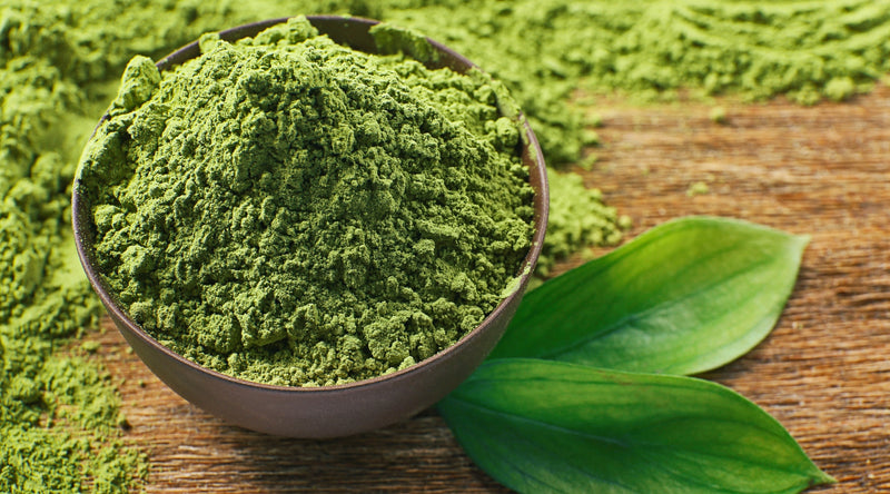 Iced and hot blue and green matcha lattes, smoothie and hot chocolate