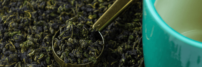 Oolong leaves in a tea scoop