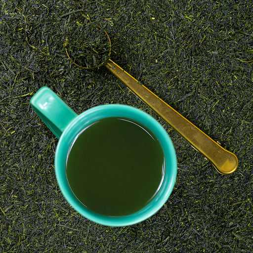 Turquoise Lil Steep filled with brewed Gyokuro on top of Gyokuro loose leaf tea.