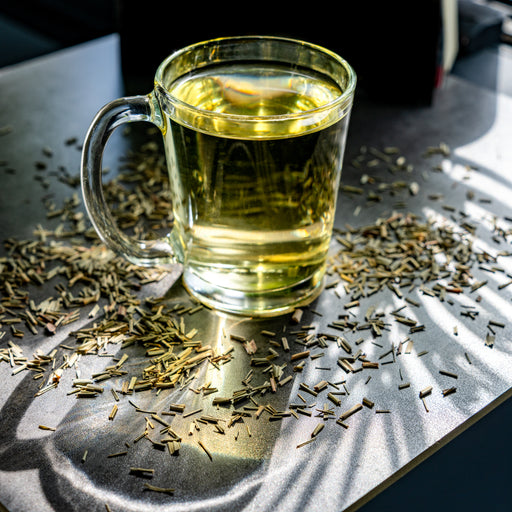 Glass mug of golden Lemongrass tea surrounded by dried Lemongrass in warm natural sunlight.