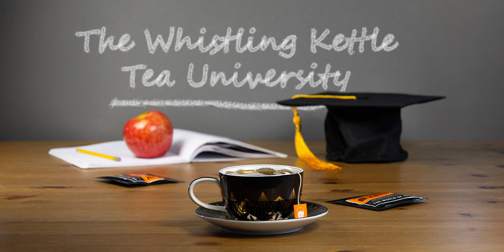 A cup of tea sits next to a textbook and graduation cap, all in front of a chalkboard.