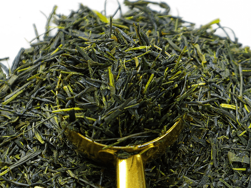 Sencha leaves rest in a tea scoop
