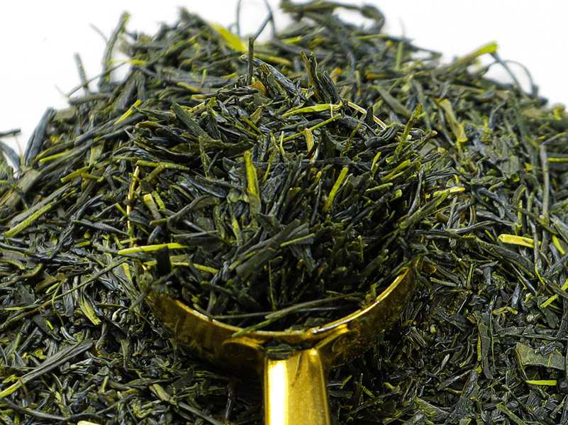 Sencha leaves rest in a tea scoop
