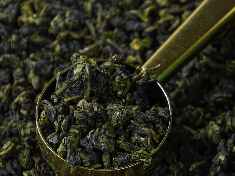 A tea scoop full of Oolong leaves